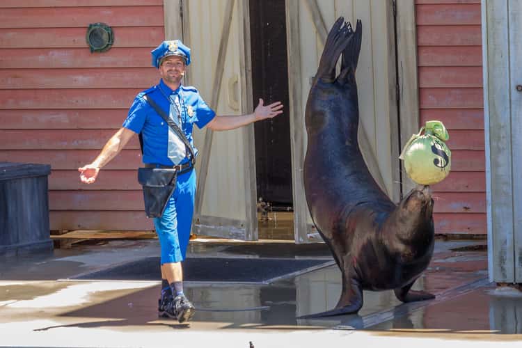 Fish Detectives - Sea World Australia