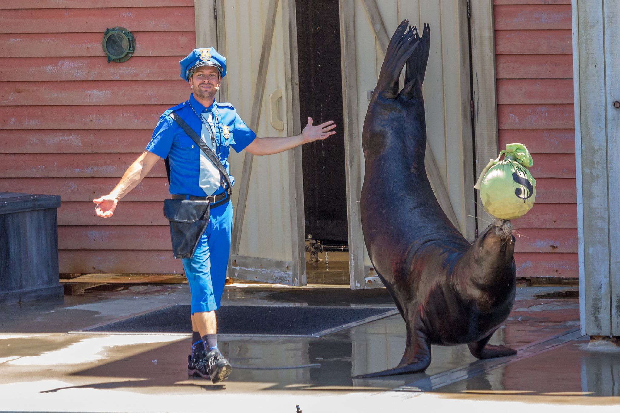 Fish Detectives - Sea World Australia, Australia