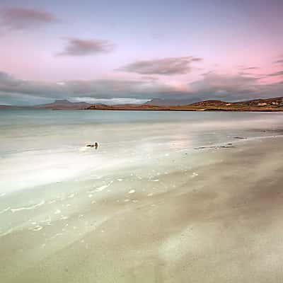 just after sunset, United Kingdom