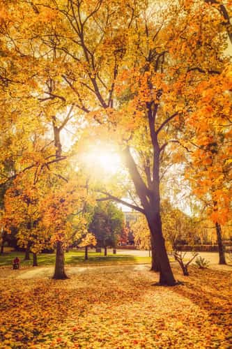Kaisaniemi Park, Helsinki