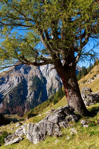 Karwendel Binsalm
