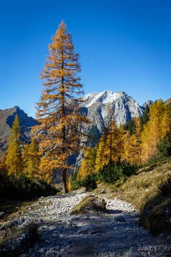 Karwendel Binsalm