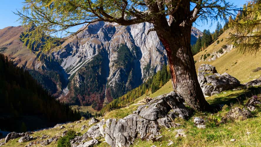 Karwendel Binsalm