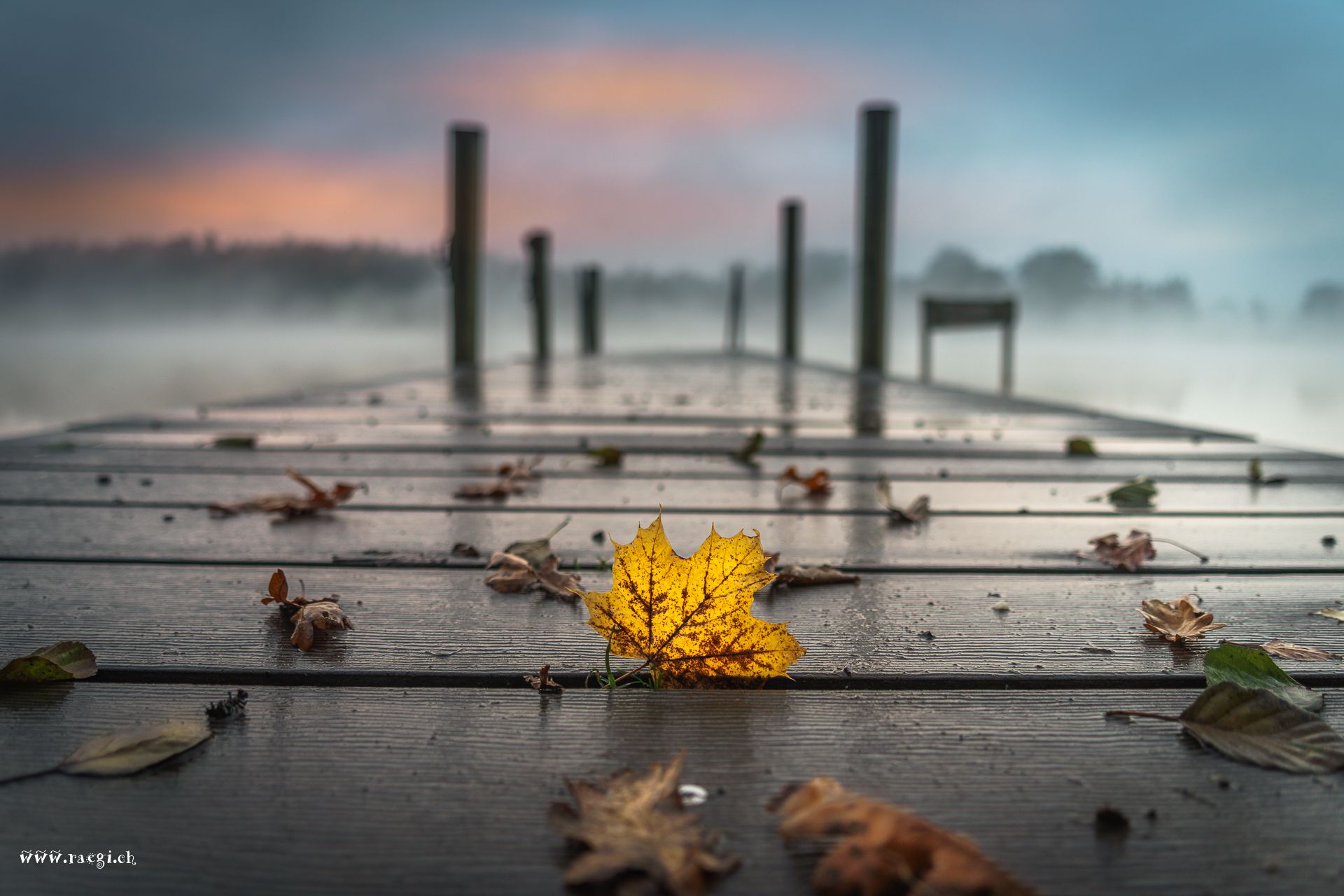 Landing Stage at Katzensee, Zurich, Switzerland