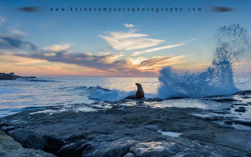 La Jolla Cove, San Diego