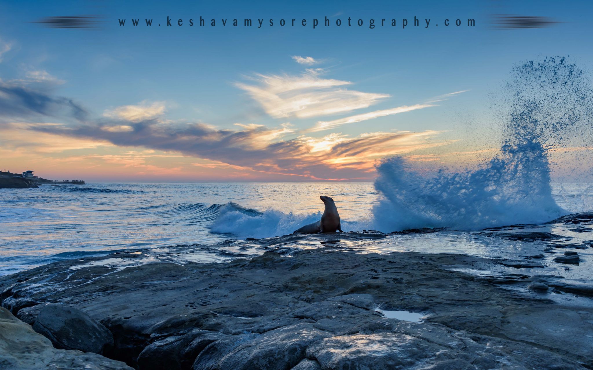 La Jolla Cove, San Diego, USA
