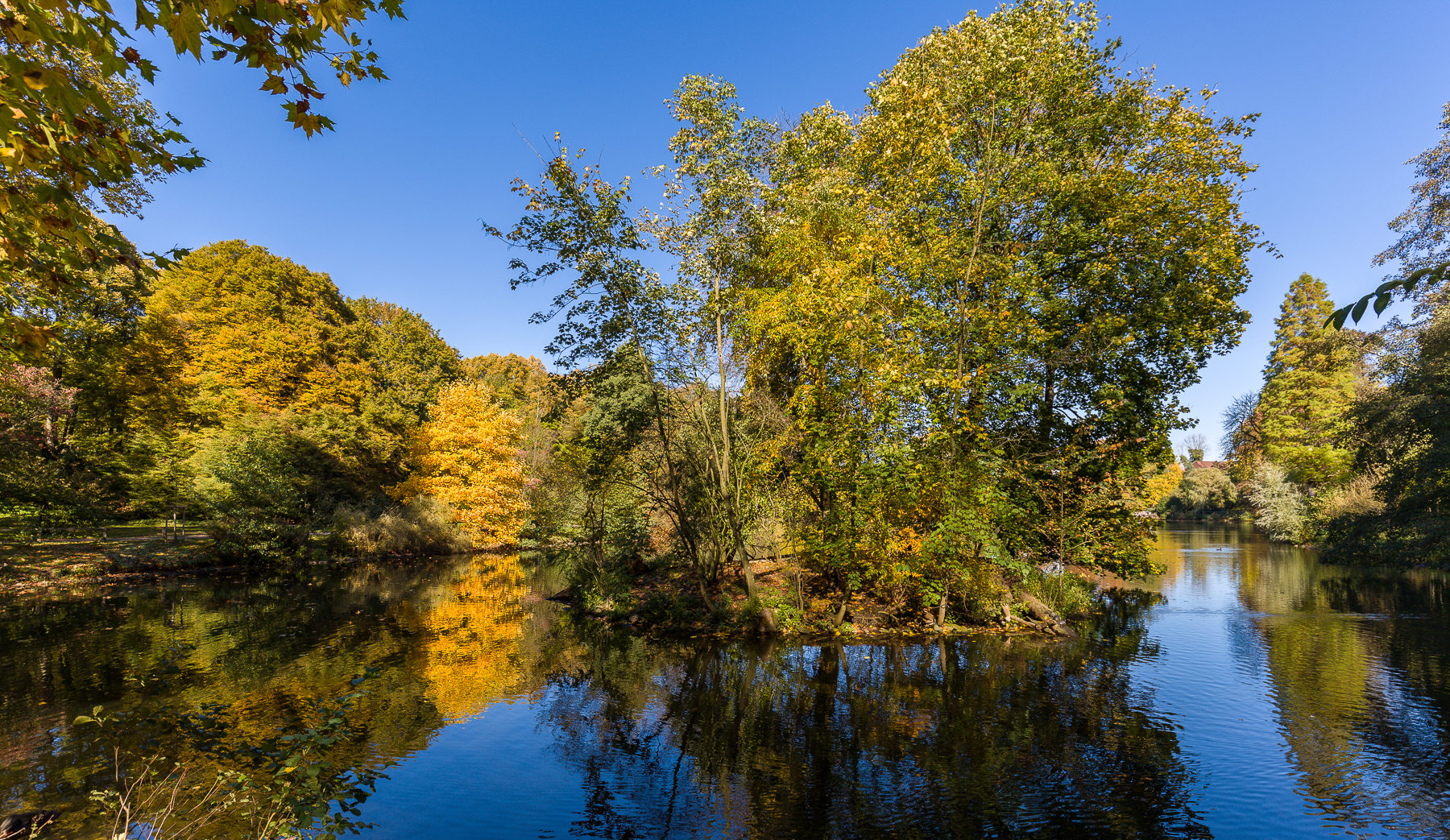 Large lake in the Rombergpark, Germany