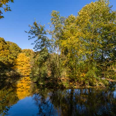 Large lake in the Rombergpark, Germany