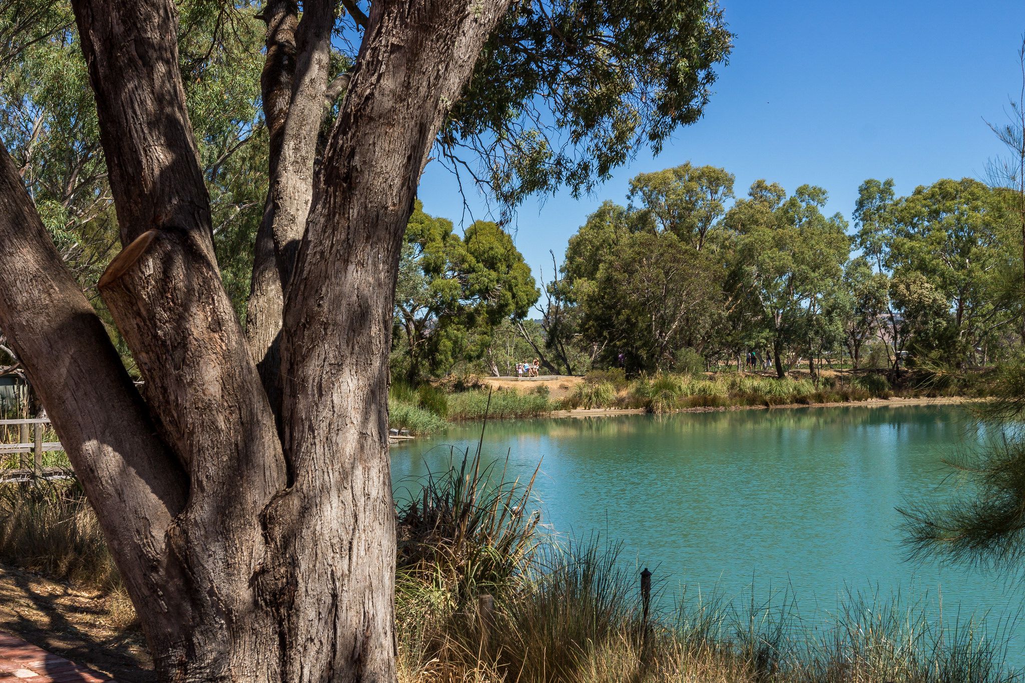 Maggie Beer Farm, Australia