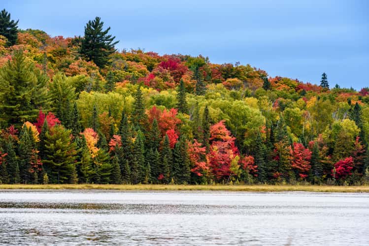 March Hare Lake Algonquin