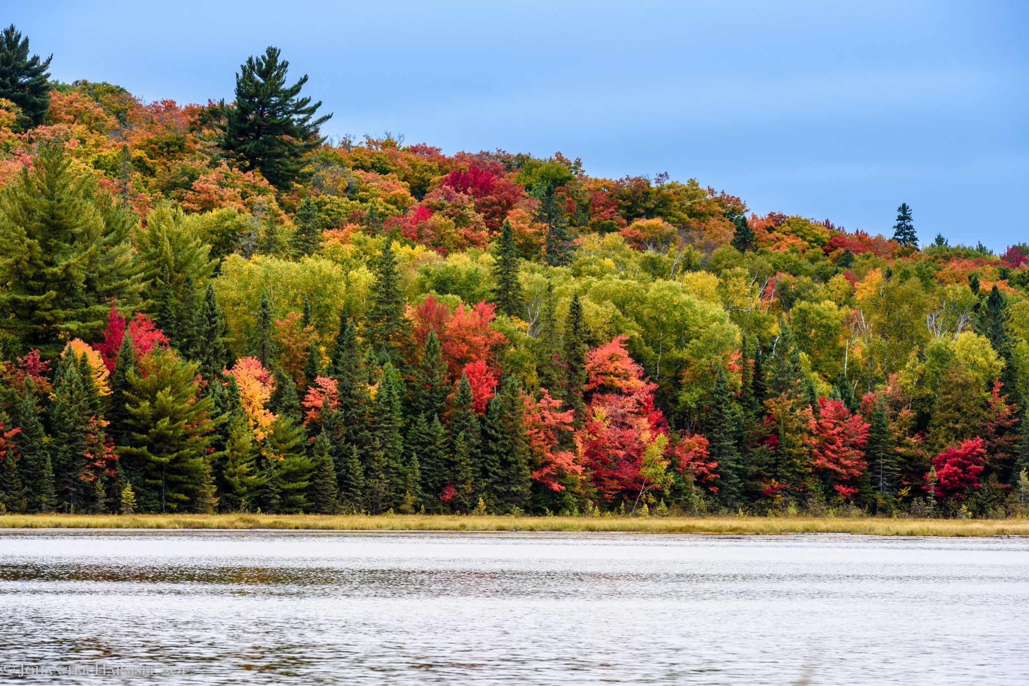 March Hare Lake Algonquin, Canada