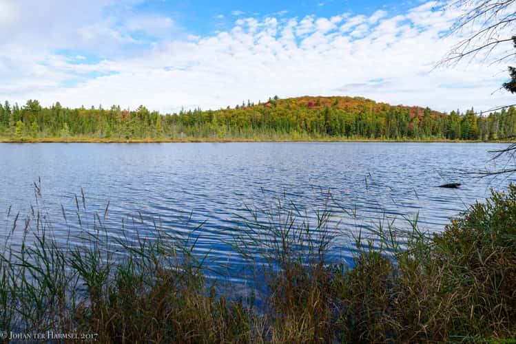 Mizzy Lake. Algonquin