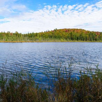 Mizzy Lake. Algonquin, Canada