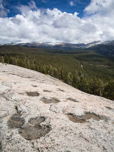Mt. Dana from Lembert Dome