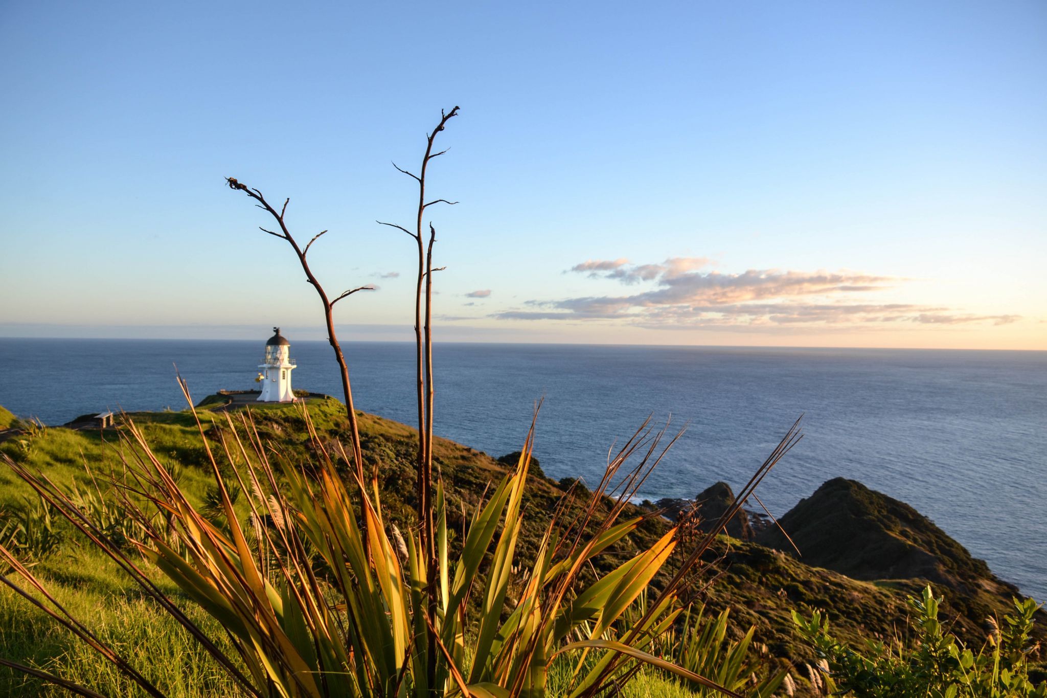 Seat and path to Cape Reinga, Nortland, New Zealand