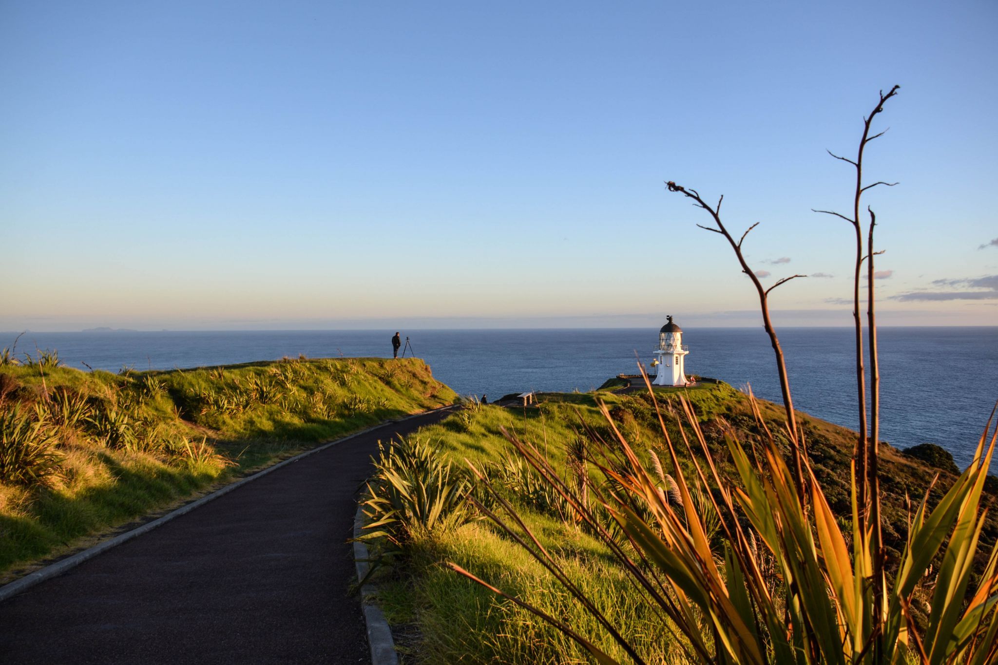 Seat and path to Cape Reinga, Nortland, New Zealand