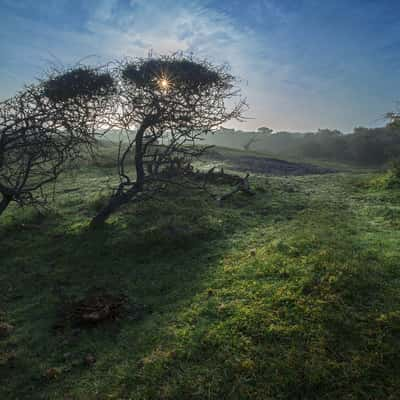 Oostkapelle - Zeeland, The Netherlands, Netherlands