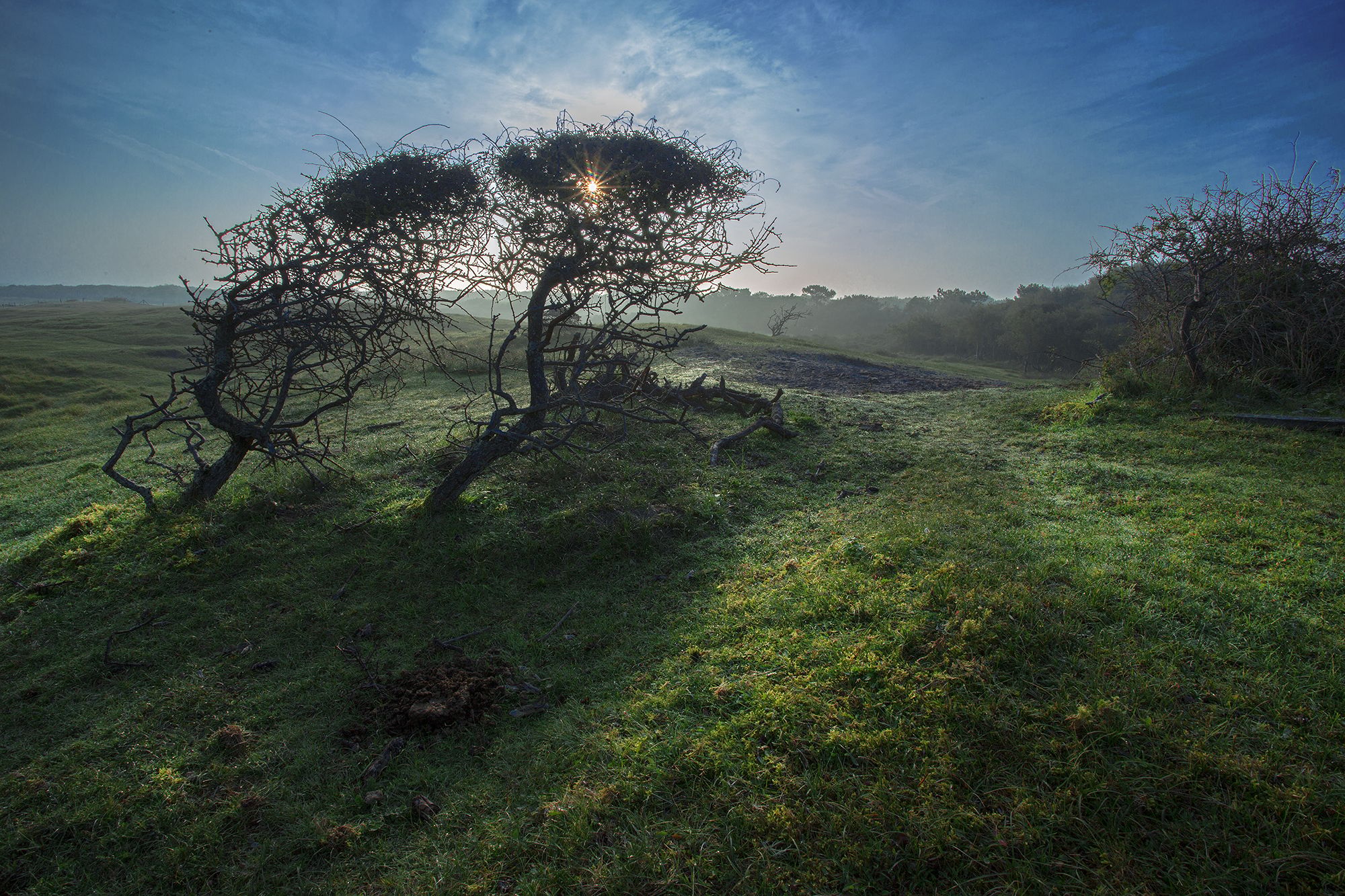 Oostkapelle - Zeeland, The Netherlands, Netherlands