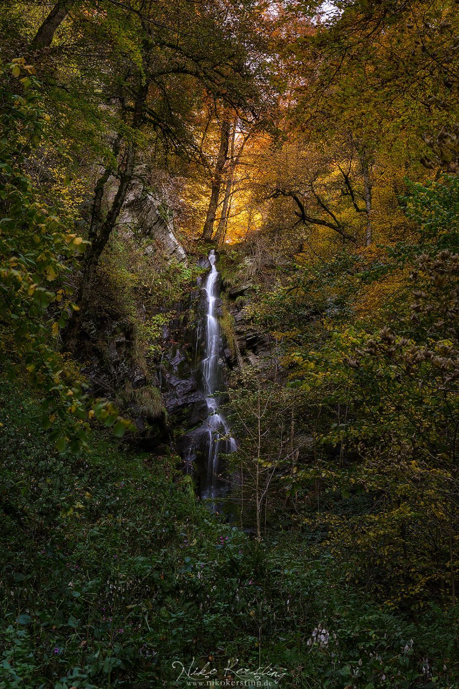 Plästerlegge, Germany