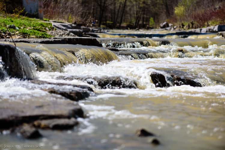 Rapids in Red Hill creek near Albion Falls