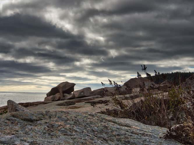 Rocky Coastline of Acadia National Park
