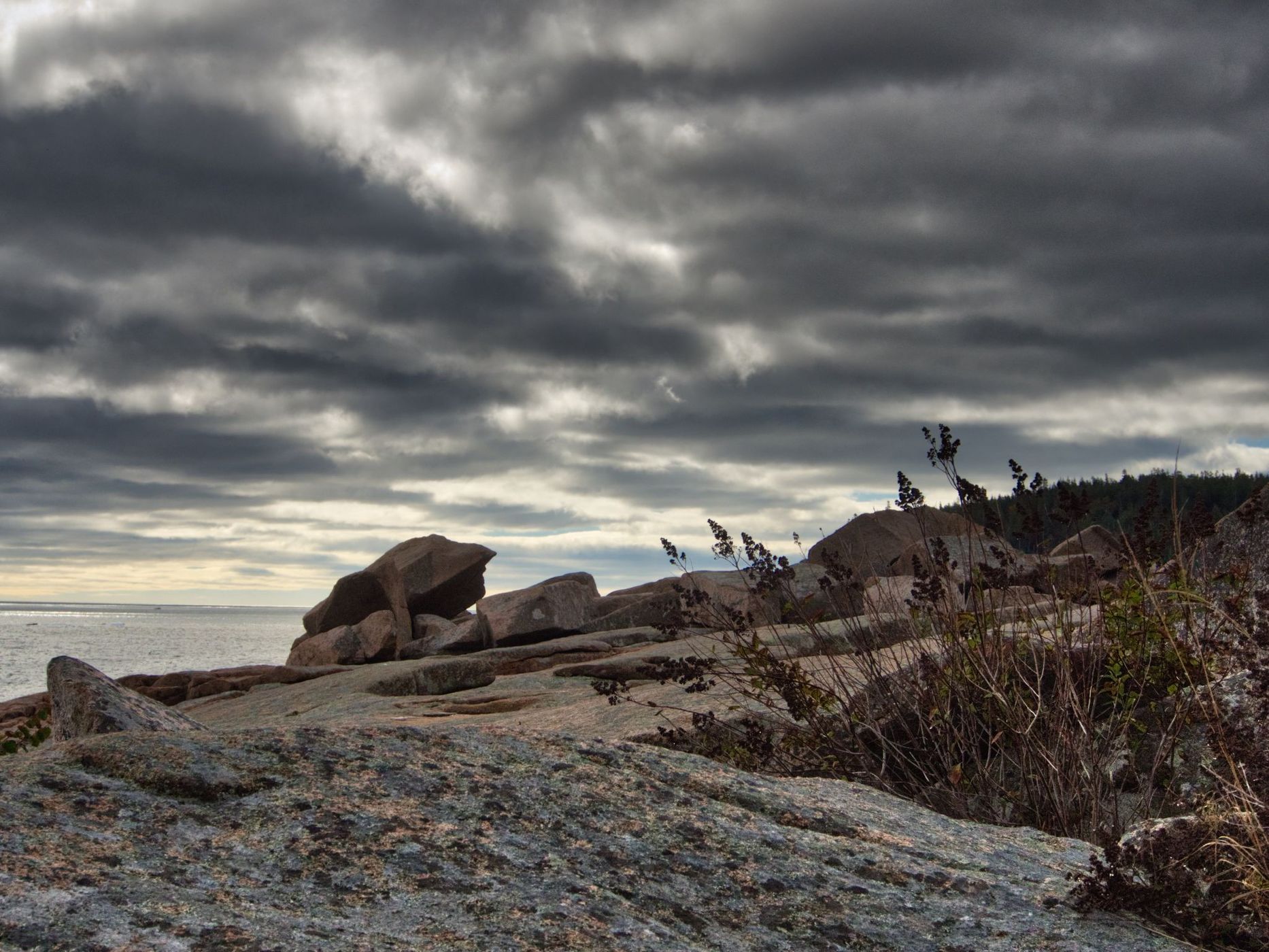 Rocky Coastline of Acadia National Park, USA