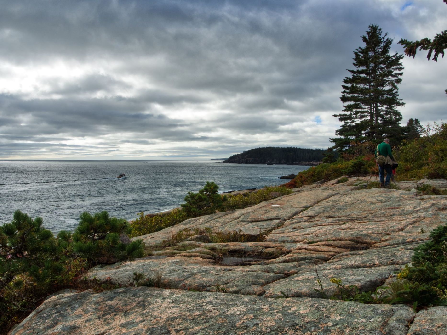 Rocky Coastline of Acadia National Park, USA