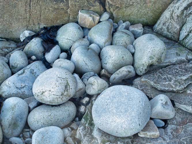 Rocky Coastline of Acadia National Park