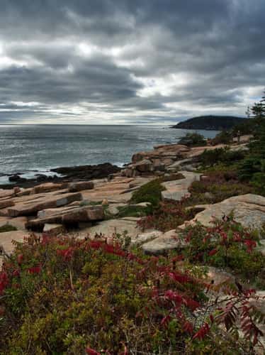 Rocky Coastline of Acadia National Park