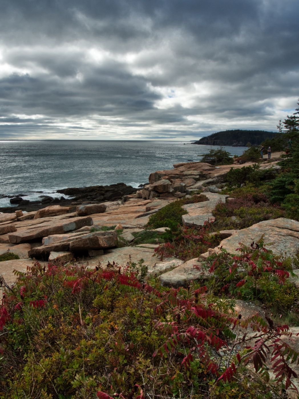 Rocky Coastline of Acadia National Park, USA