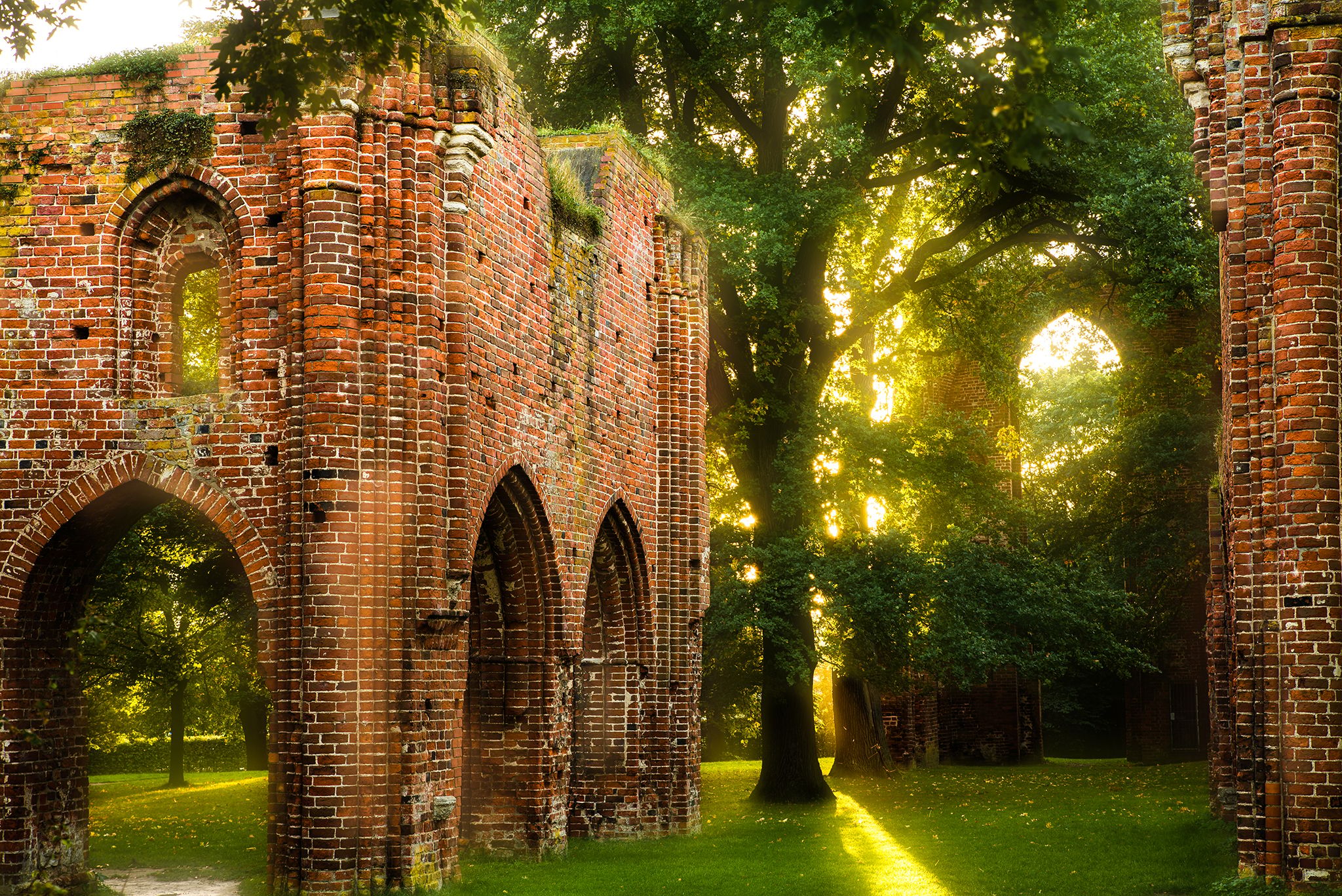 Ruin of Eldena Abbey, Greifswald-Eldena, Germany