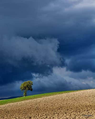 San Severino Marche countryside