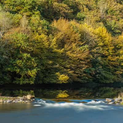 Semois riverbank, Alle sur Semois, Belgium