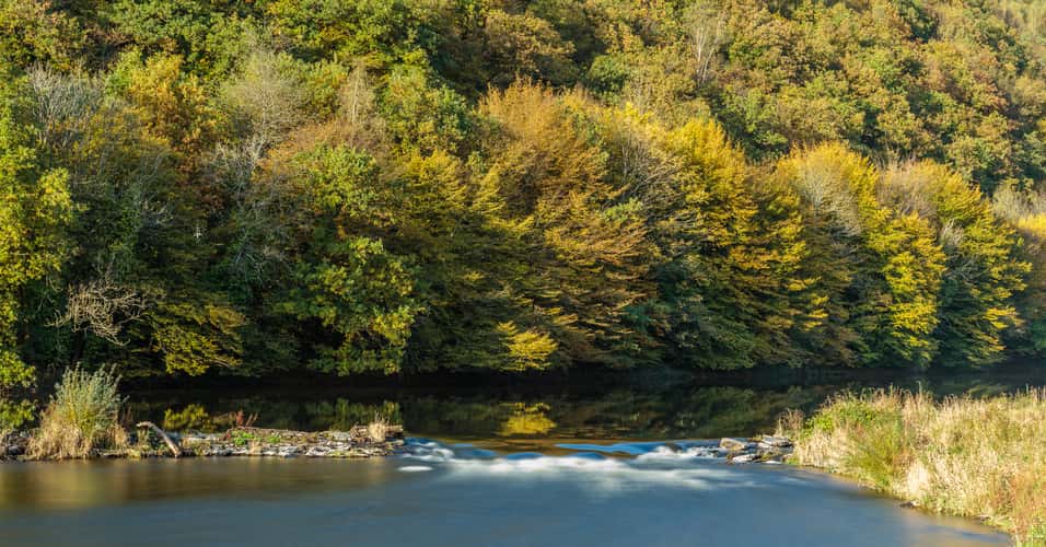 Semois riverbank, Alle sur Semois