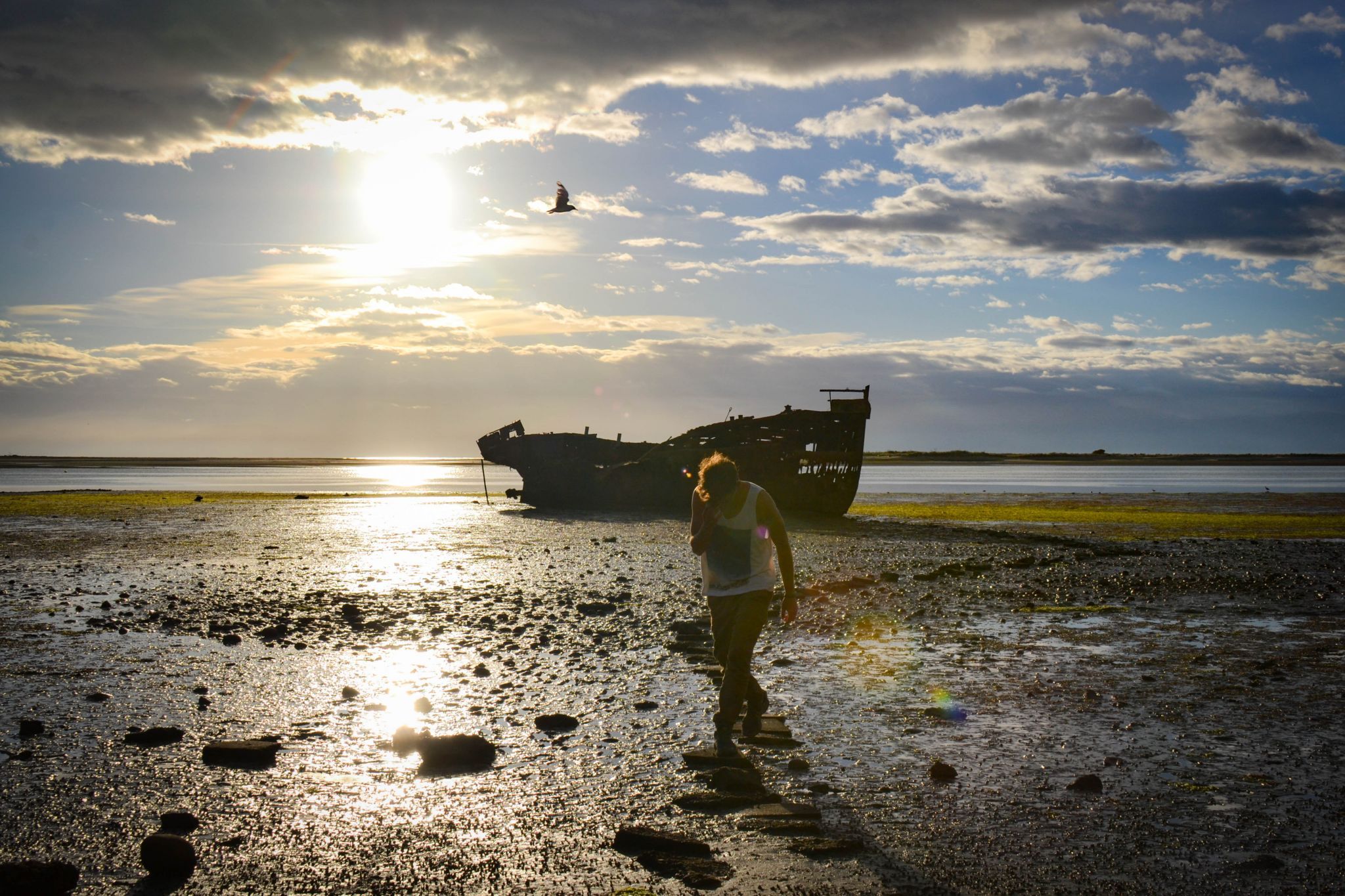 Shipwreck Janie Seddon, Motueka, New Zealand