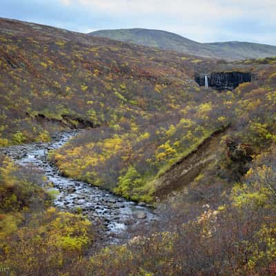 Svartifoss at first sight, Iceland