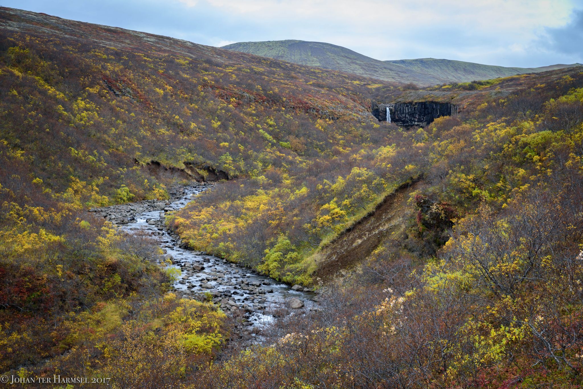Svartifoss at first sight, Iceland
