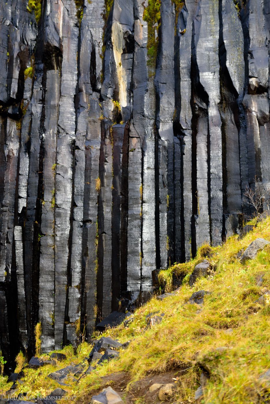 Lava rock pillars at Svartifoss, Iceland