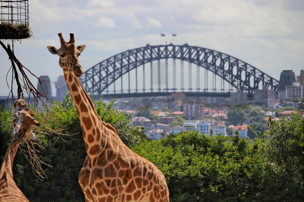 Taronga Zoo, Sydney, Australia