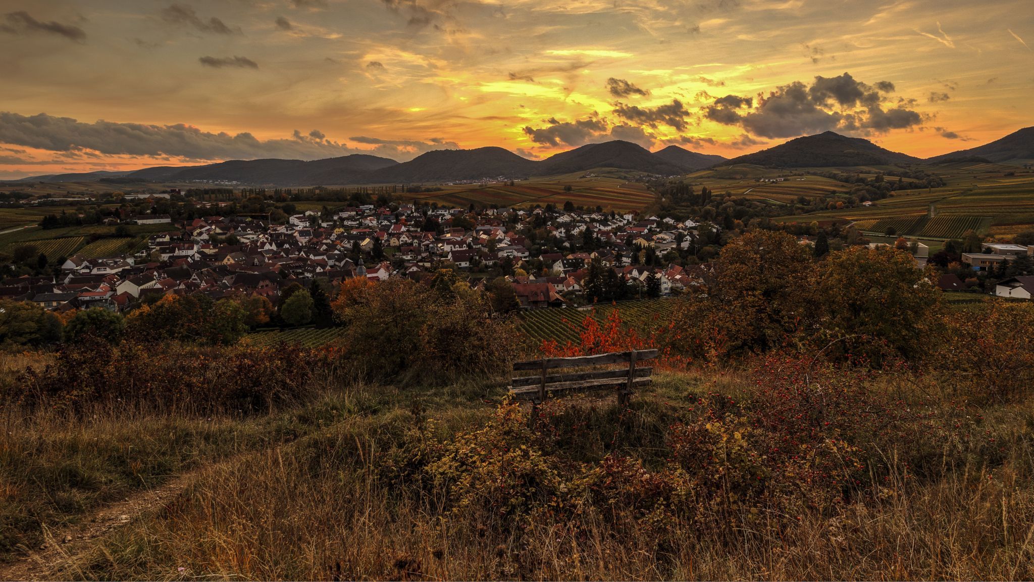 Weinberge mit kleiner Kapelle, Germany
