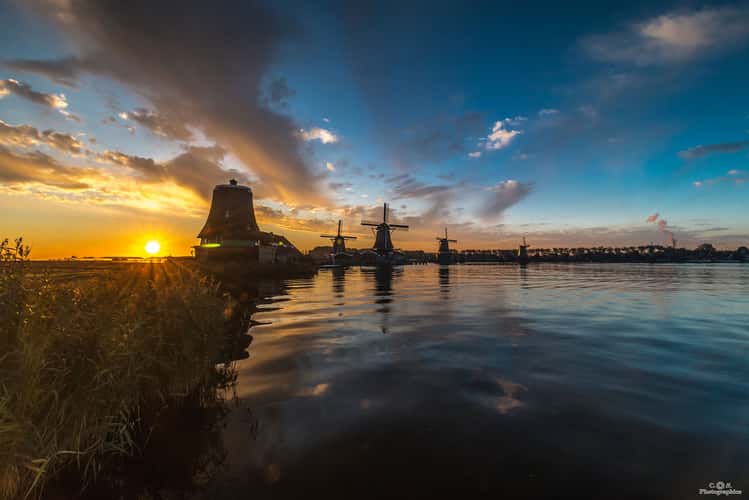 Cheese Farm De Haal at Zaanse Schans, Zaandam