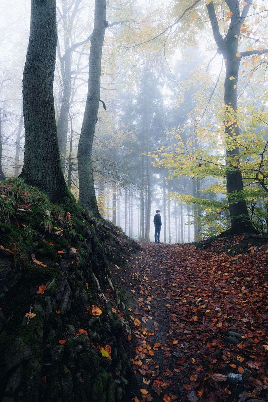 I used a walk through the woods, that I would do anyway, to easily create some additional content. This photo was taken on one of the beautiful paths of the Siebengebirge in Germany.