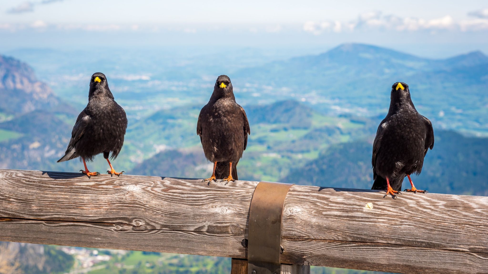 View from Kehlsteinhaus, Germany
