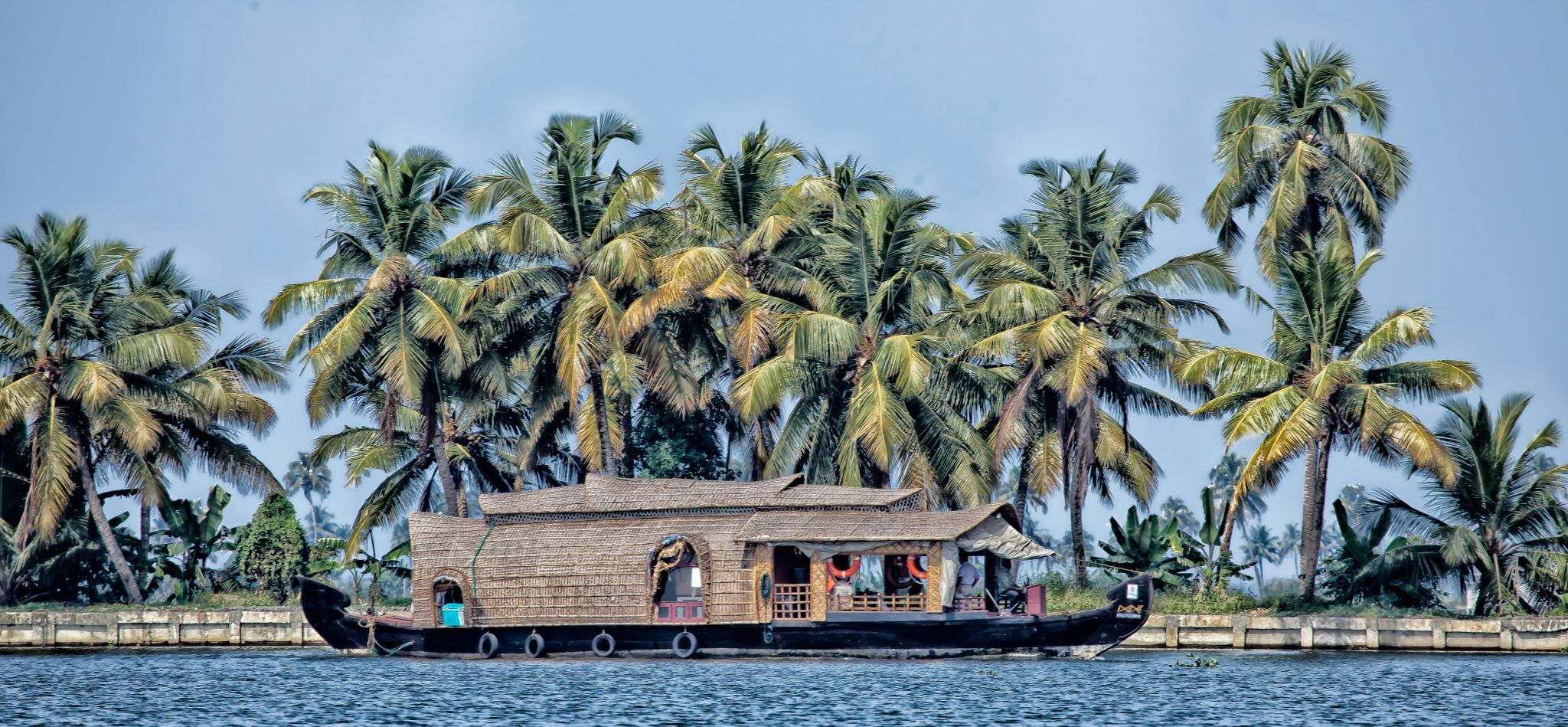 Backwater, India