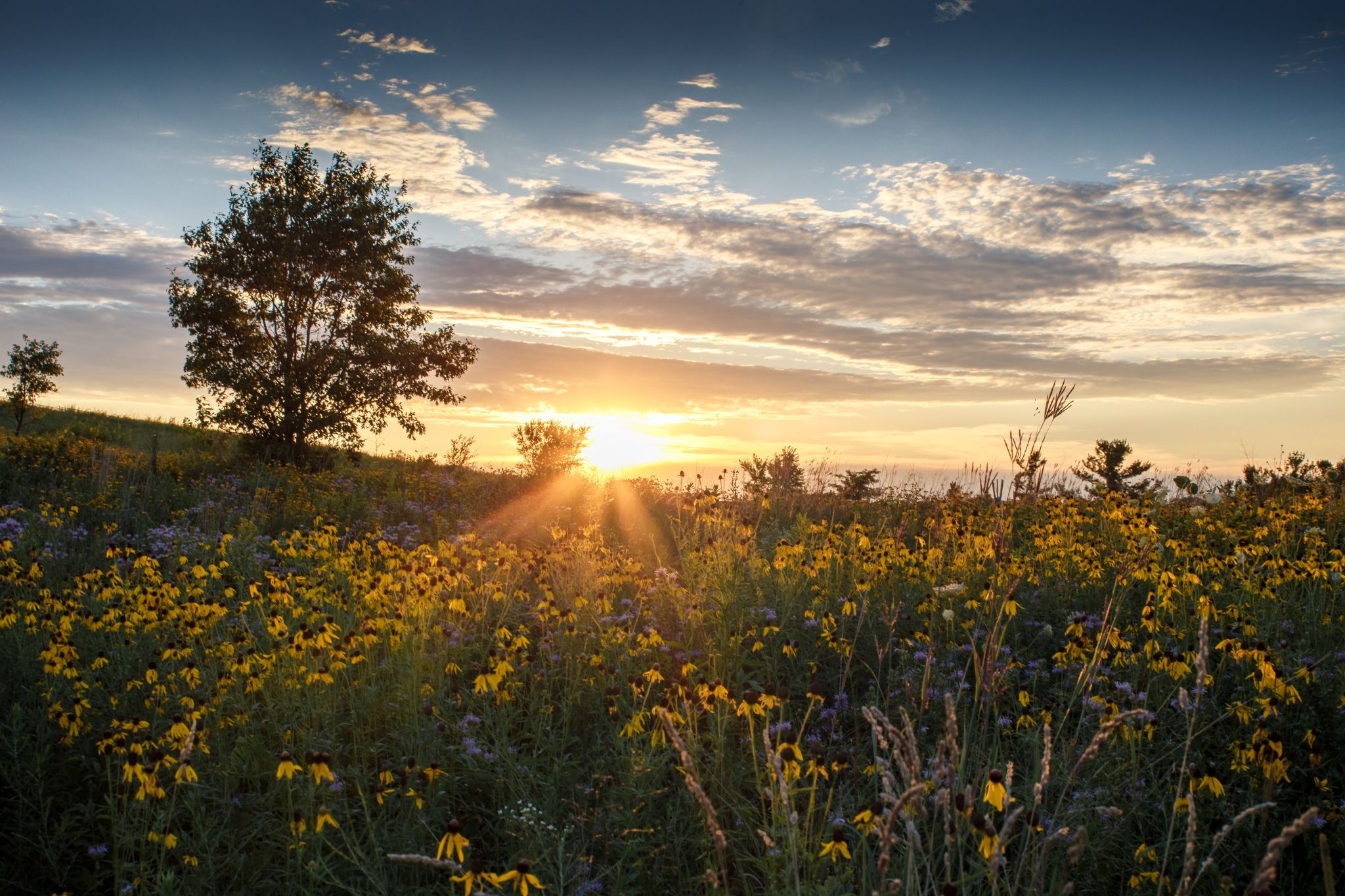 Blackwell Forest Preserve, USA