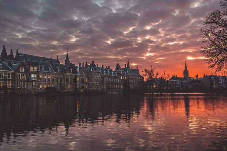 Buitenhof - The Hague