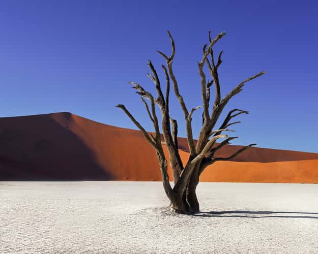 Deadvlei, Sossusvlei