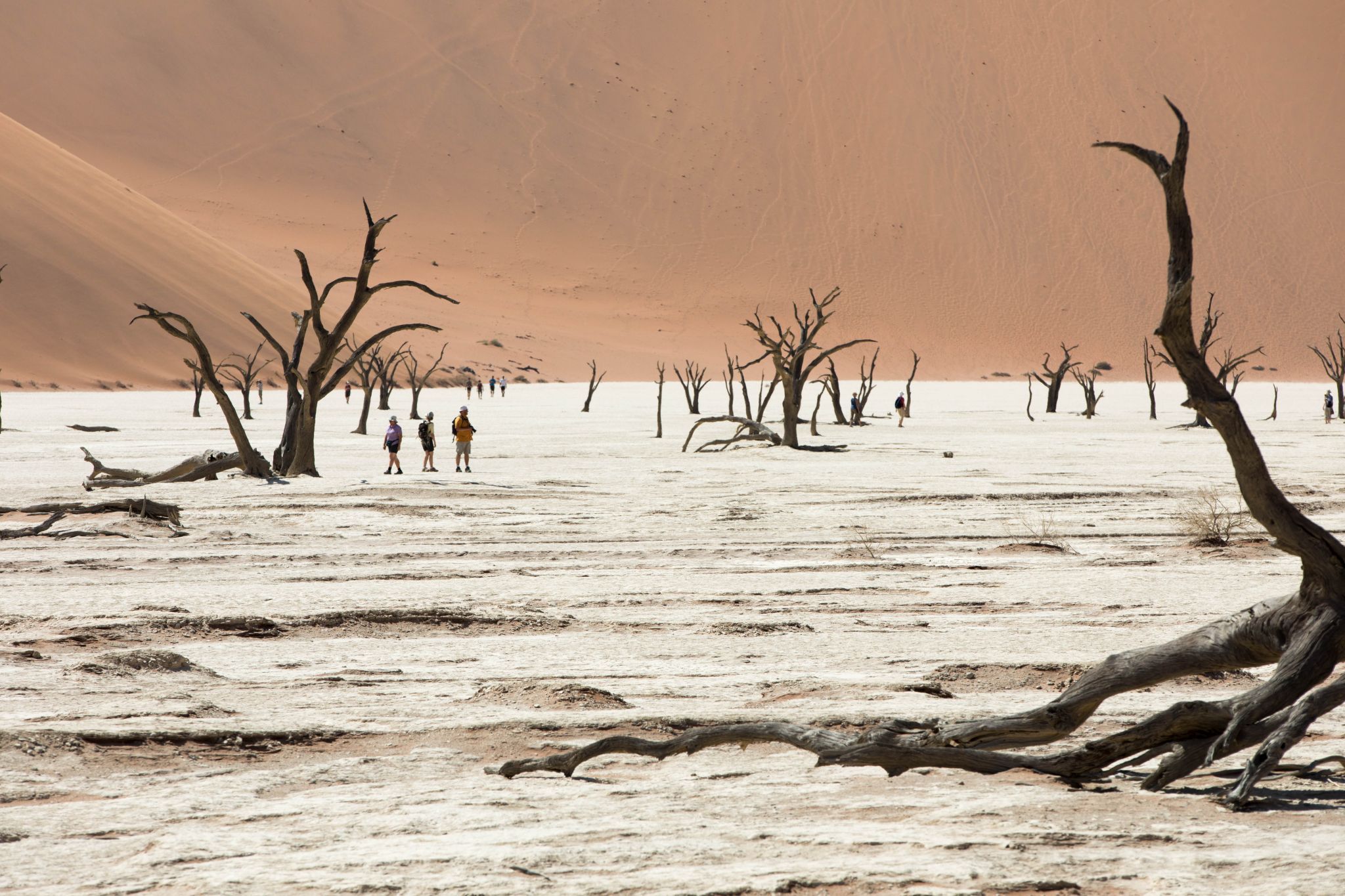 Deadvlei, Sossusvlei, Namibia