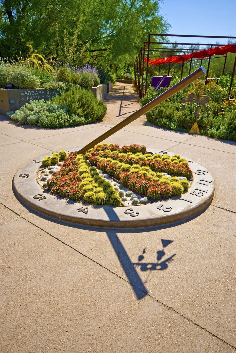 Desert  Botanical Garden - Chihuly in the Garden, USA
