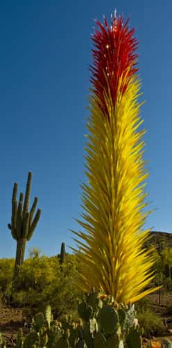 Desert  Botanical Garden - Chihuly in the Garden